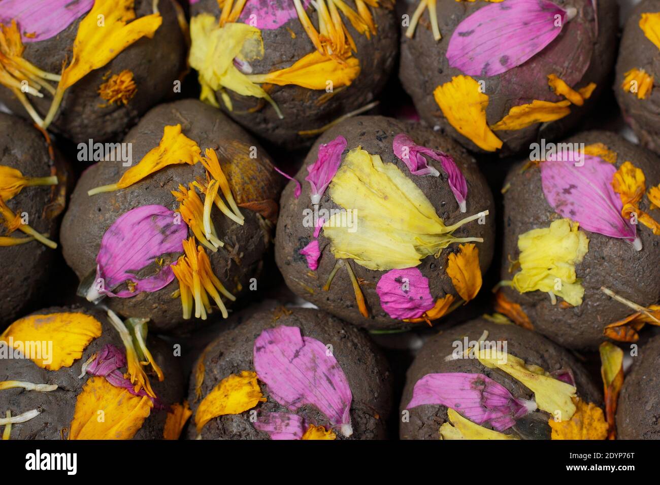 Bombe di fiori fatte in casa, o palline di semi, fatte con terra di argilla incastonata con vari semi di fiori e abbellite con petali. REGNO UNITO Foto Stock