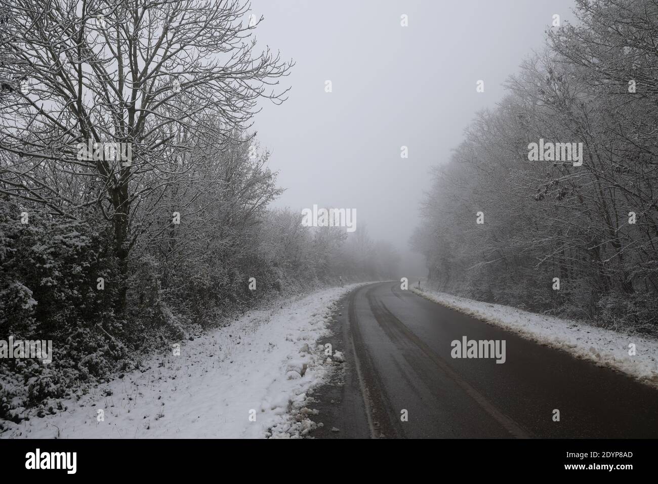 Un pericoloso tratto di strada su una mattina invernale nebbiosa Foto Stock