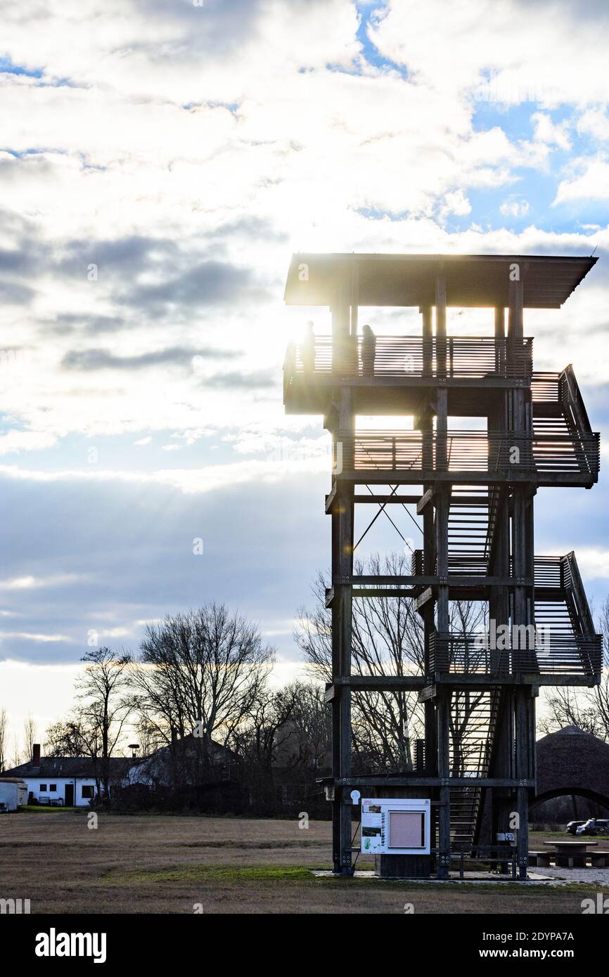 Illmitz: Torre di osservazione a Hölle nel parco nazionale Neusiedler See–Seewinkel a Neusiedler See (Lago Neusiedl), Burgenland, Austria Foto Stock