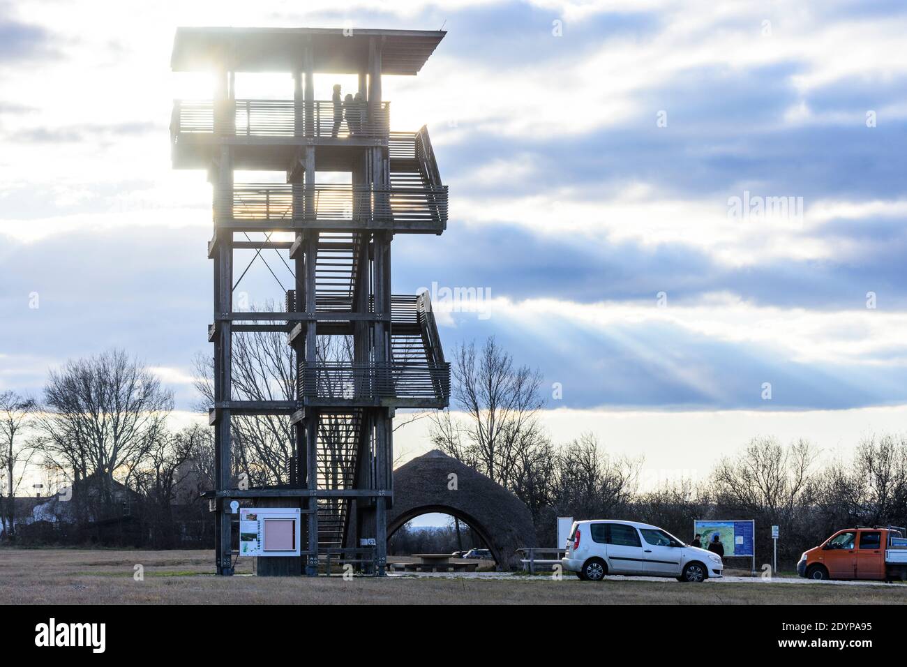 Illmitz: Torre di osservazione a Hölle nel parco nazionale Neusiedler See–Seewinkel a Neusiedler See (Lago Neusiedl), Burgenland, Austria Foto Stock