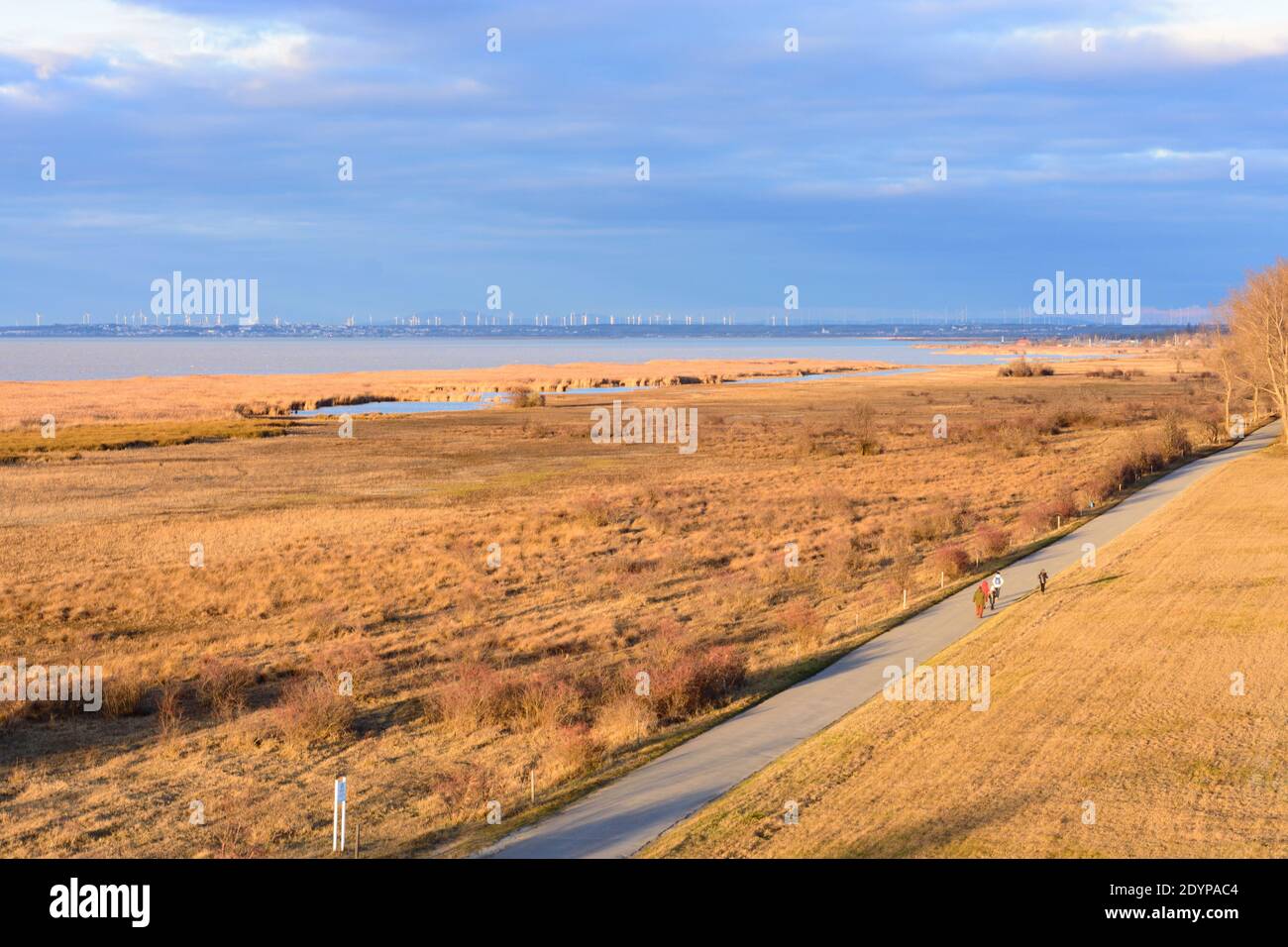 Illmitz: Vista a nord del lago Neusiedl dalla torre di osservazione a Hölle nel parco nazionale Neusiedler See–Seewinkel a Neusiedler See (Lago Neusiedl Foto Stock