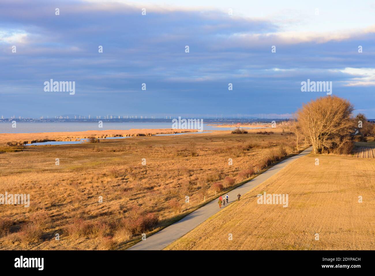Illmitz: Vista a nord del lago Neusiedl dalla torre di osservazione a Hölle nel parco nazionale Neusiedler See–Seewinkel a Neusiedler See (Lago Neusiedl Foto Stock