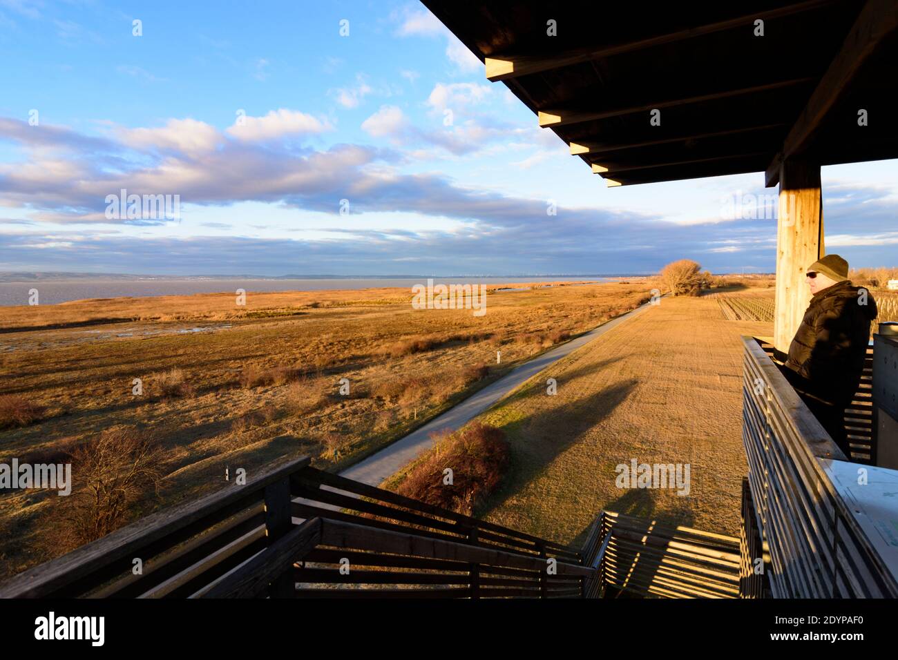 Illmitz: Torre di osservazione a Hölle nel parco nazionale Neusiedler See–Seewinkel, vista sul lago Neusiedl a Neusiedler See (Lago Neusiedl), Burgenland, Au Foto Stock