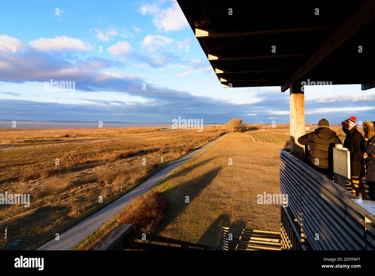 Illmitz: Torre di osservazione a Hölle nel parco nazionale Neusiedler See–Seewinkel, vista sul lago Neusiedl a Neusiedler See (Lago Neusiedl), Burgenland, Au Foto Stock
