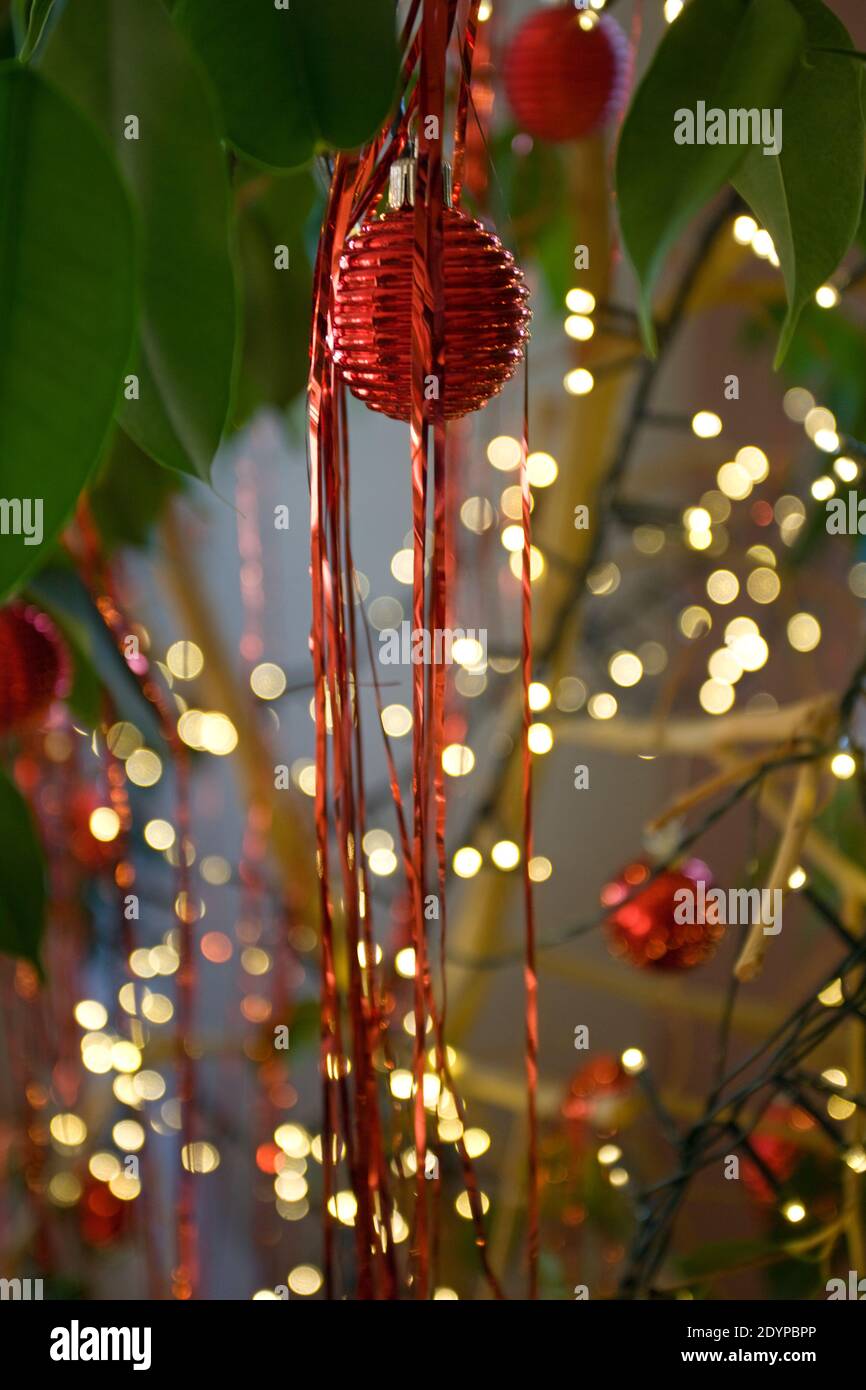 Baubles e luci di Natale primo piano in fico albero Foto Stock