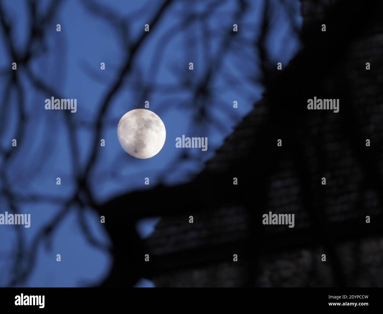 Minster on Sea, Kent, Regno Unito. 27 Dicembre 2020. Regno Unito Meteo: Tramonto a Minster sul mare, Kent. Alesante gibbosa moonrise al tramonto. Credit: James Bell/Alamy Live News Foto Stock