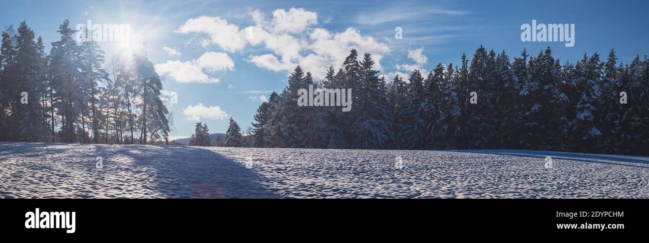 paesaggio invernale, campi innevati, foreste e alberi all'orizzonte, cielo azzurro limpido con nuvole bianche e sole splendente Foto Stock