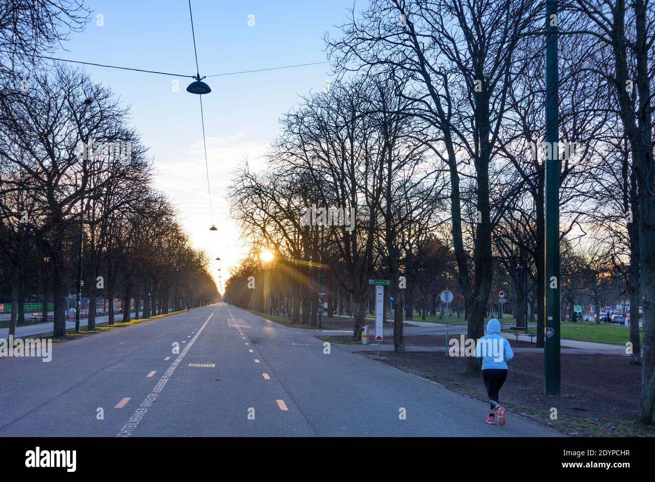 Wien, Vienna: Strada Hauptallee nel parco Prater, jogger, alba nel 02. Leopoldstadt, Vienna, Austria Foto Stock