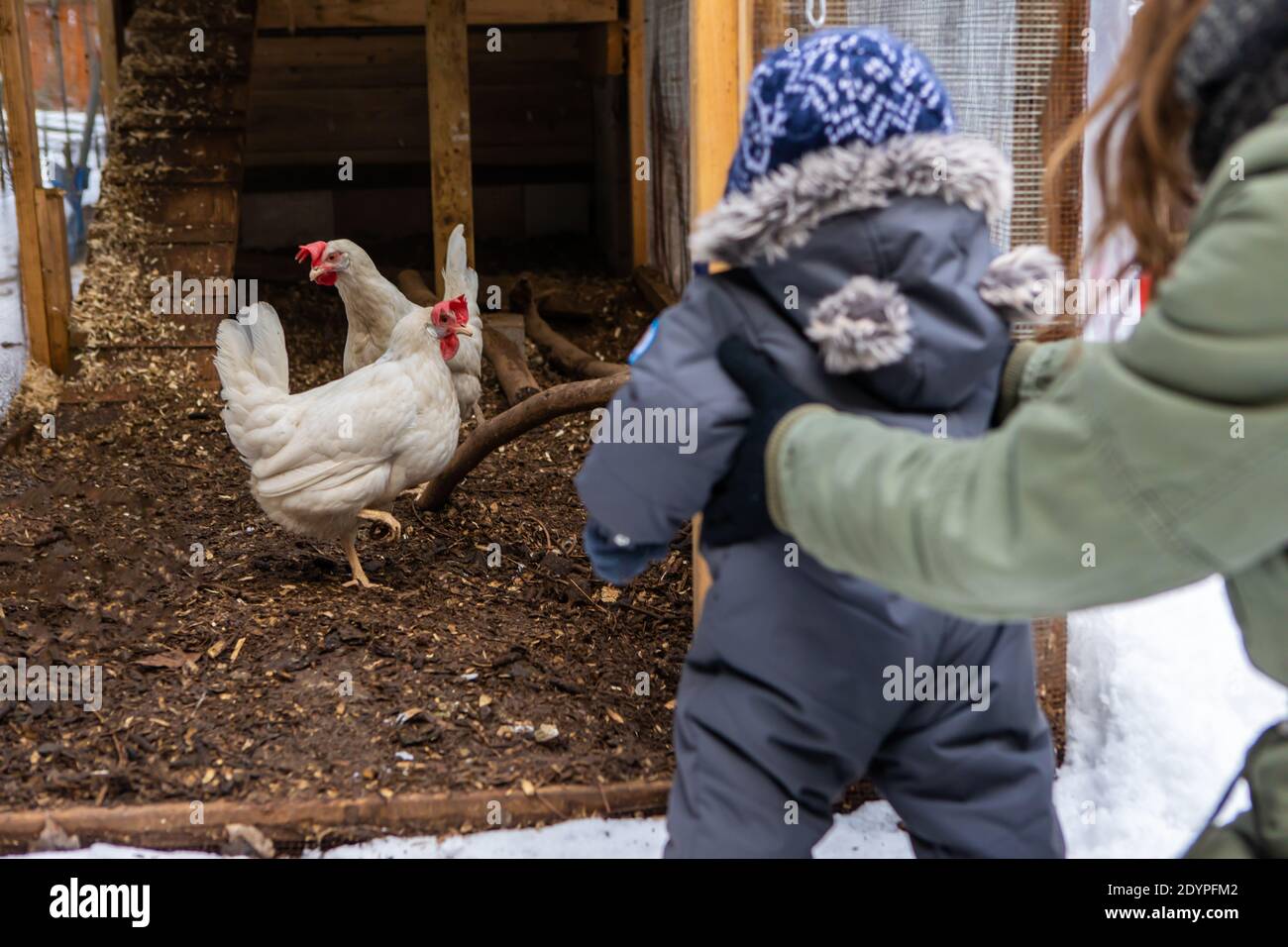 Vista da dietro della mamma che tiene con entrambe le mani un bambino vestito in abito invernale di fronte a una polpetta di pollo con le galline. La prima esplorazione della natura del bambino. Foto Stock