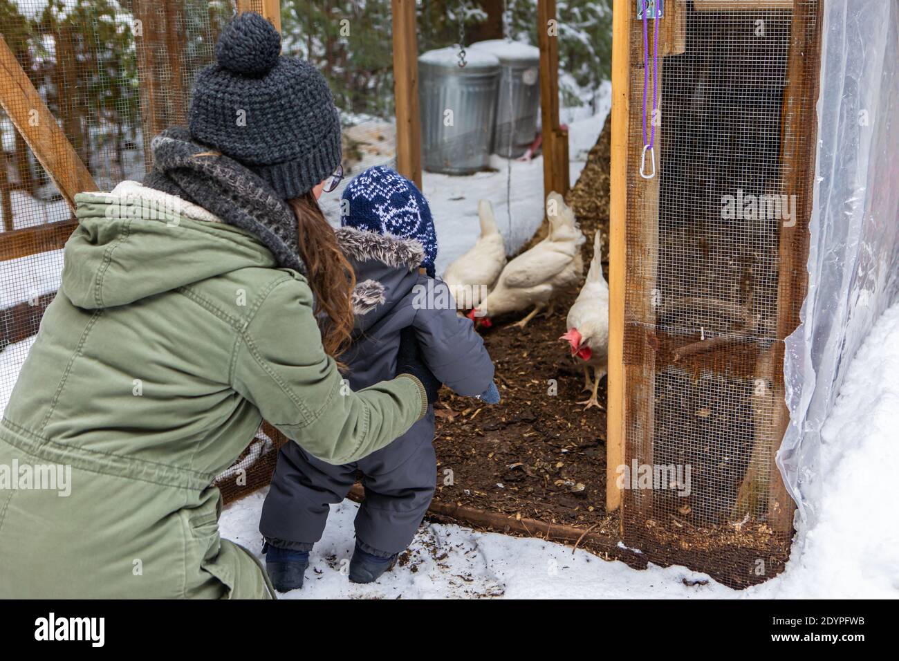 La prima esplorazione della natura del bambino con la mamma. Vista da dietro i due, che si affaccia su una polpetta di pollo con galline bianche all'interno durante una giornata invernale innevata. Foto Stock