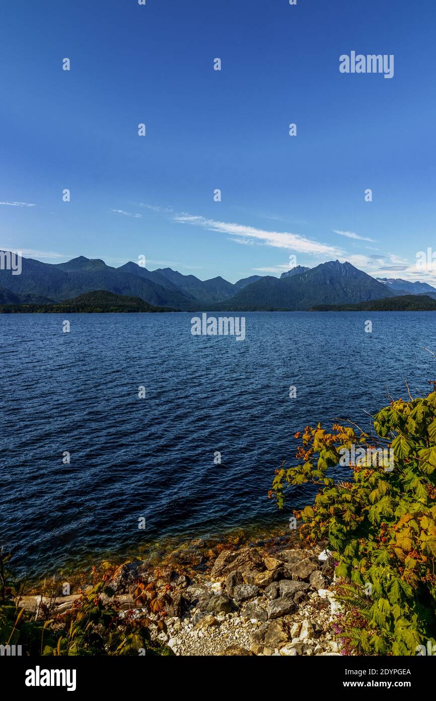 Uno dei grandi laghi dell'Isola di Vancouver - il Lago Kennedy. Il lago Kennedy si trova tra Port Alberni e Ucluelet sull'Isola di Vancouver, BC Foto Stock