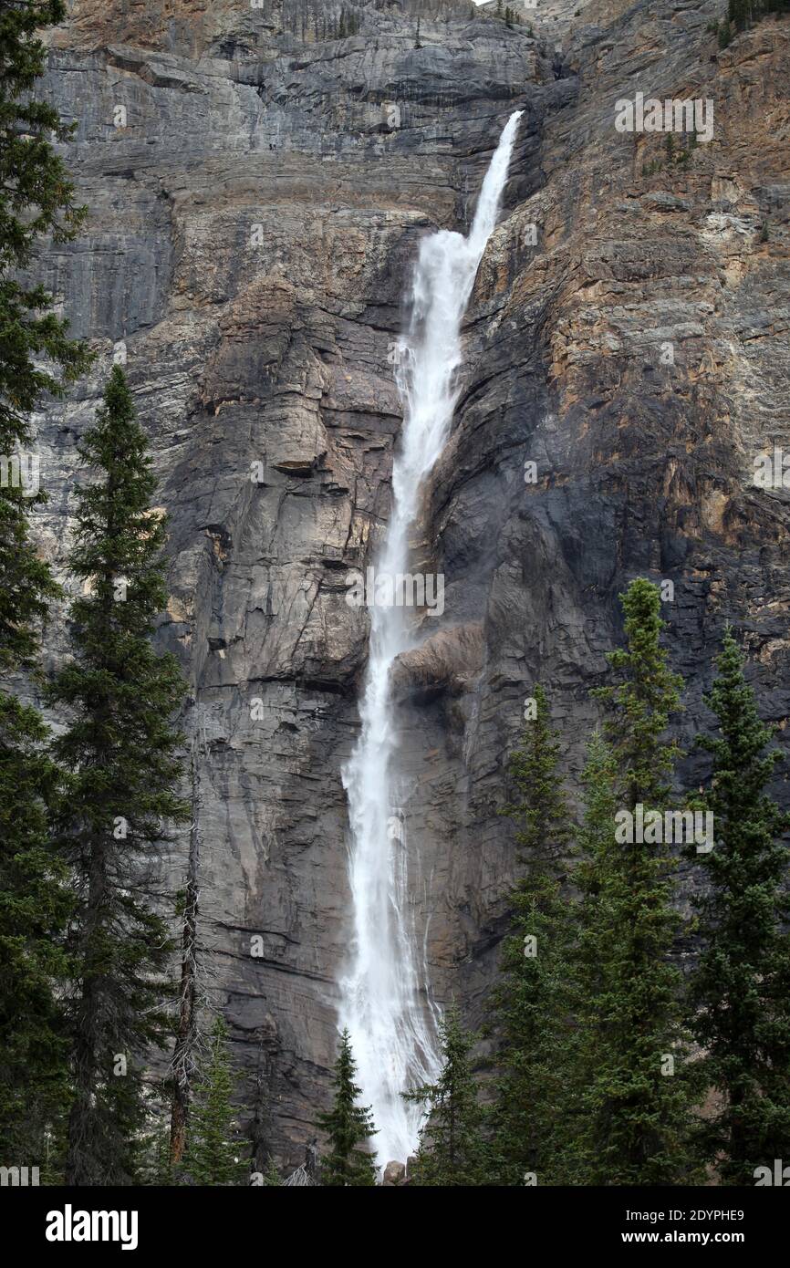 Le Cascate di Takakkaw nel Parco Nazionale di Yoho, British Columbia, Canada Foto Stock