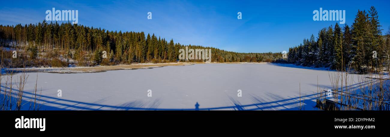 inverno in una foresta di abeti nella natura dell'alta austria riserva tanner moor in liebenau Foto Stock