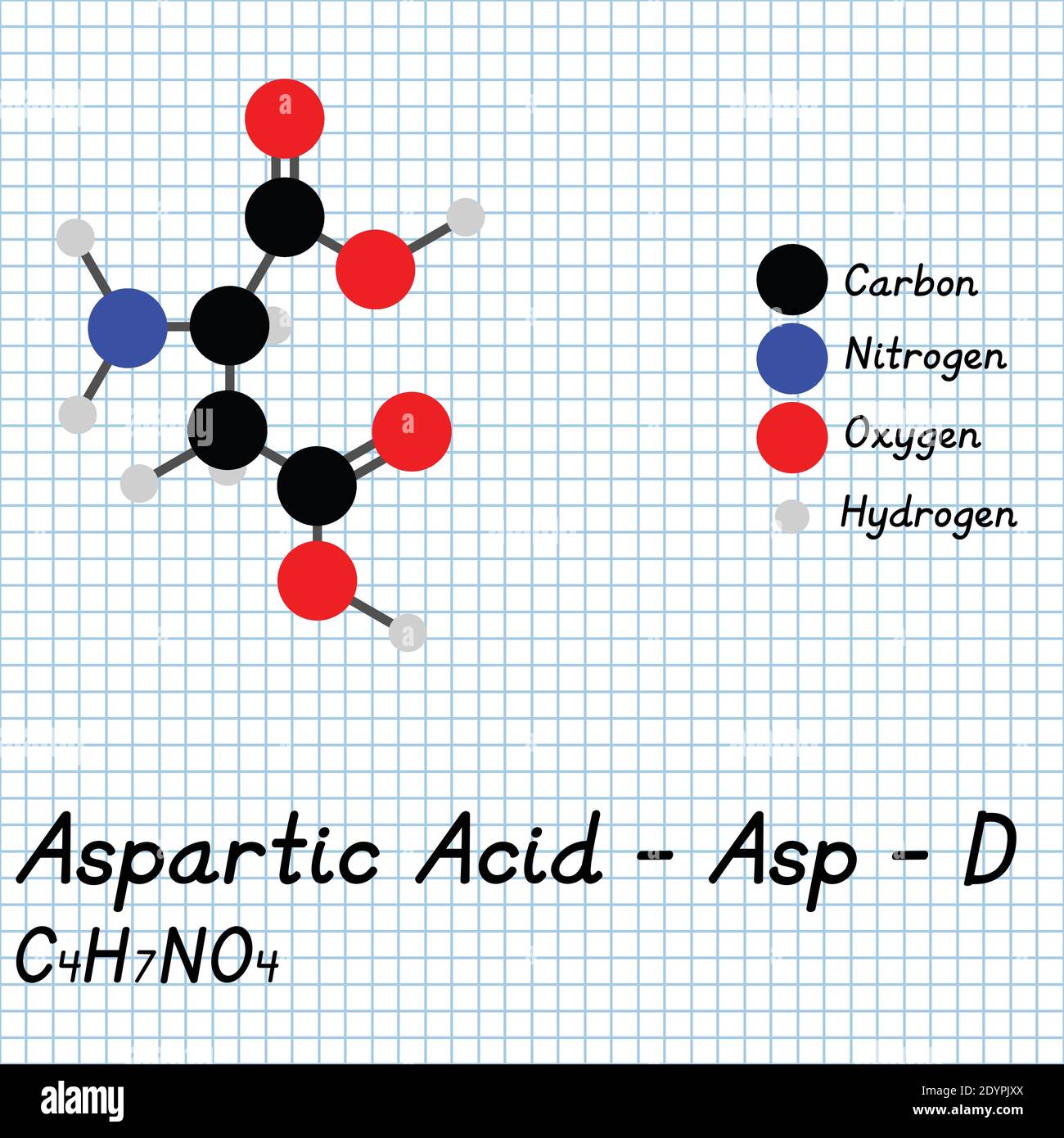 Acido aspartico - ASP - D formula molecolare e struttura chimica degli aminoacidi. Modello 2D Ball and Stick su sfondo foglio di carta da scuola. EPS10 Illustrazione Vettoriale