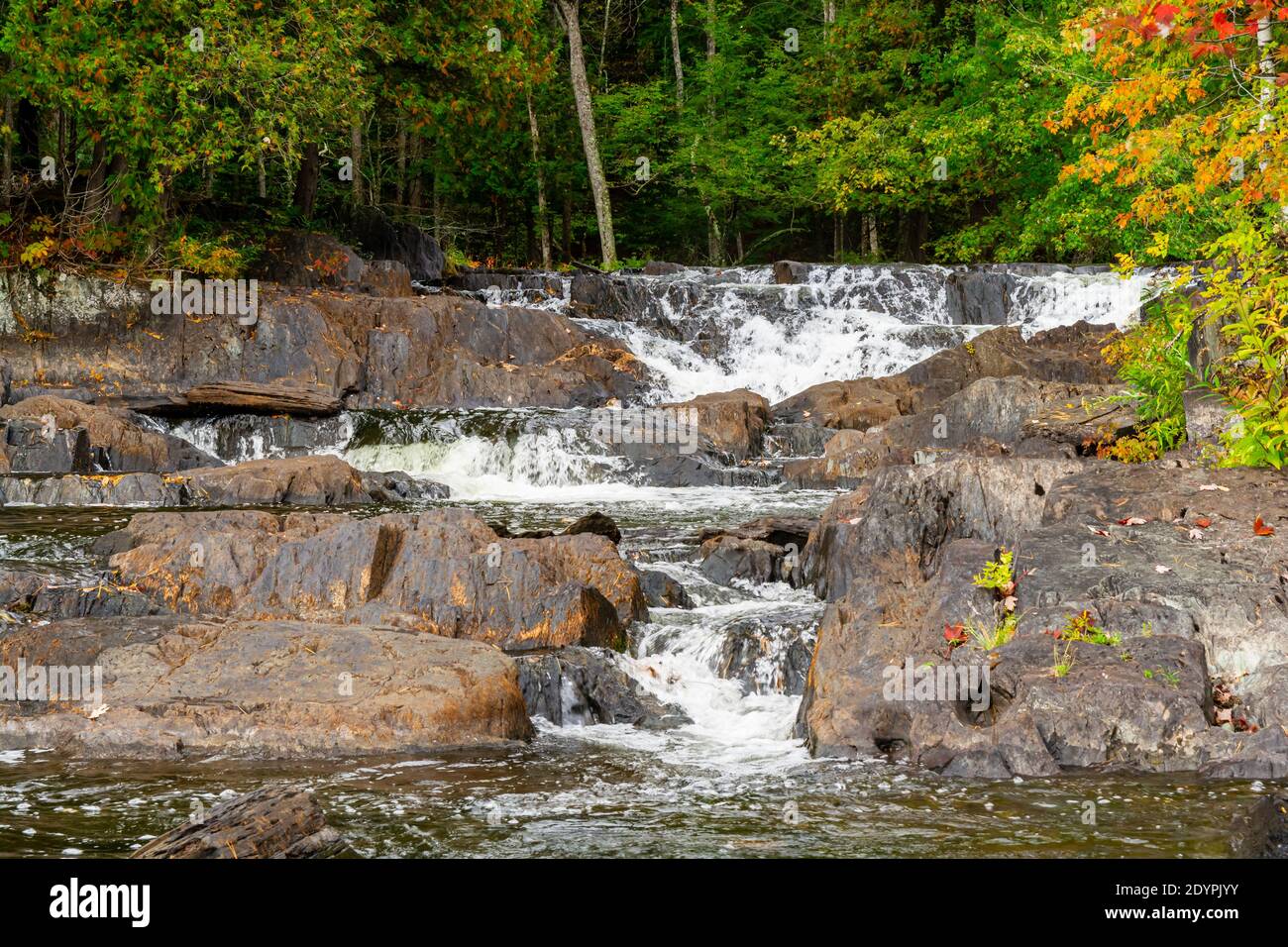 Cascate di Cordova Lago di Cordova Fiume di Crowe Havelock Peterborough County Ontario Canada in autunno Foto Stock