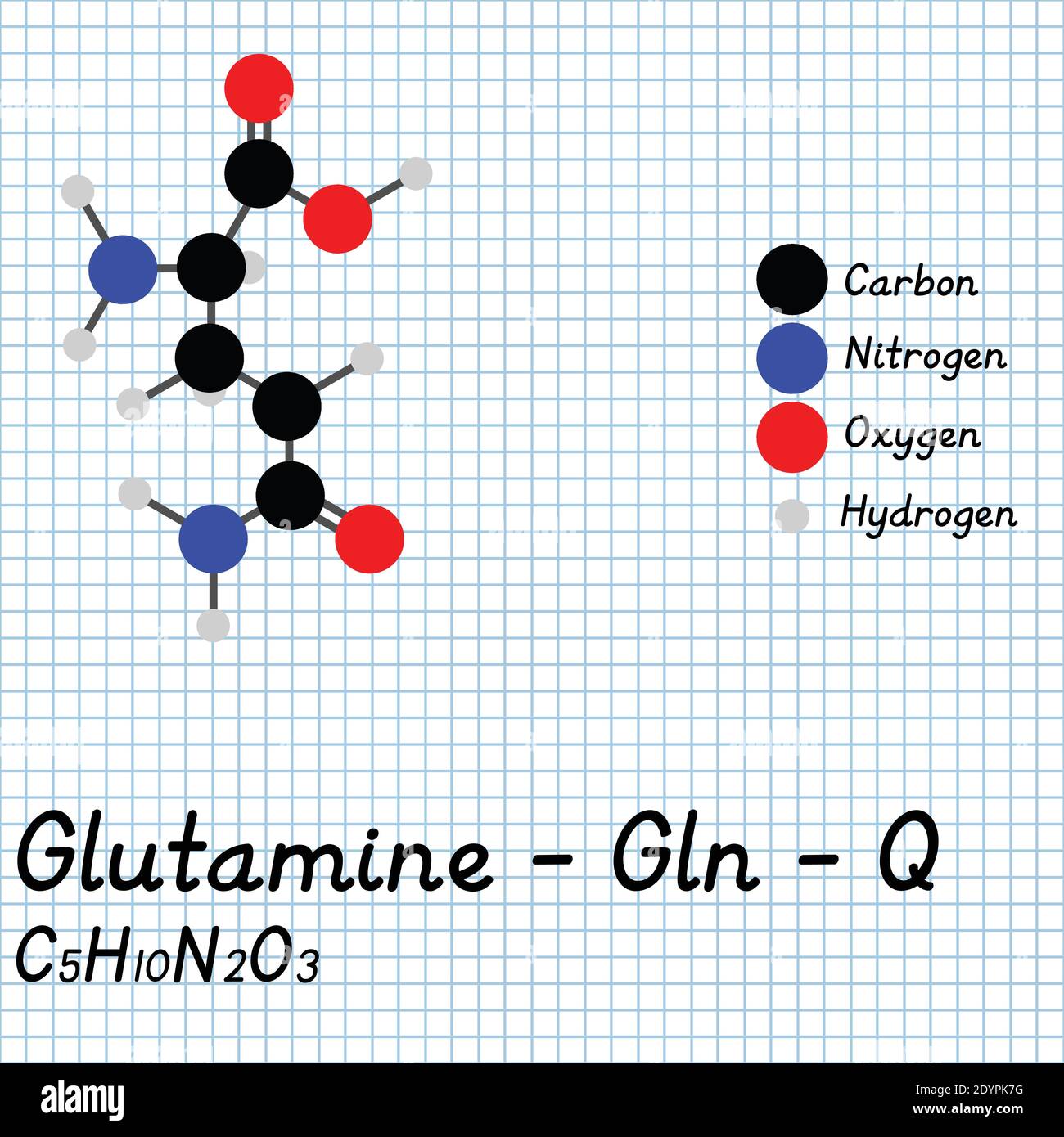 Glutammina - Gln - Q formula molecolare e struttura chimica degli aminoacidi. Modello 2D Ball and Stick su sfondo foglio di carta da scuola. EPS10 Illustrazione Vettoriale