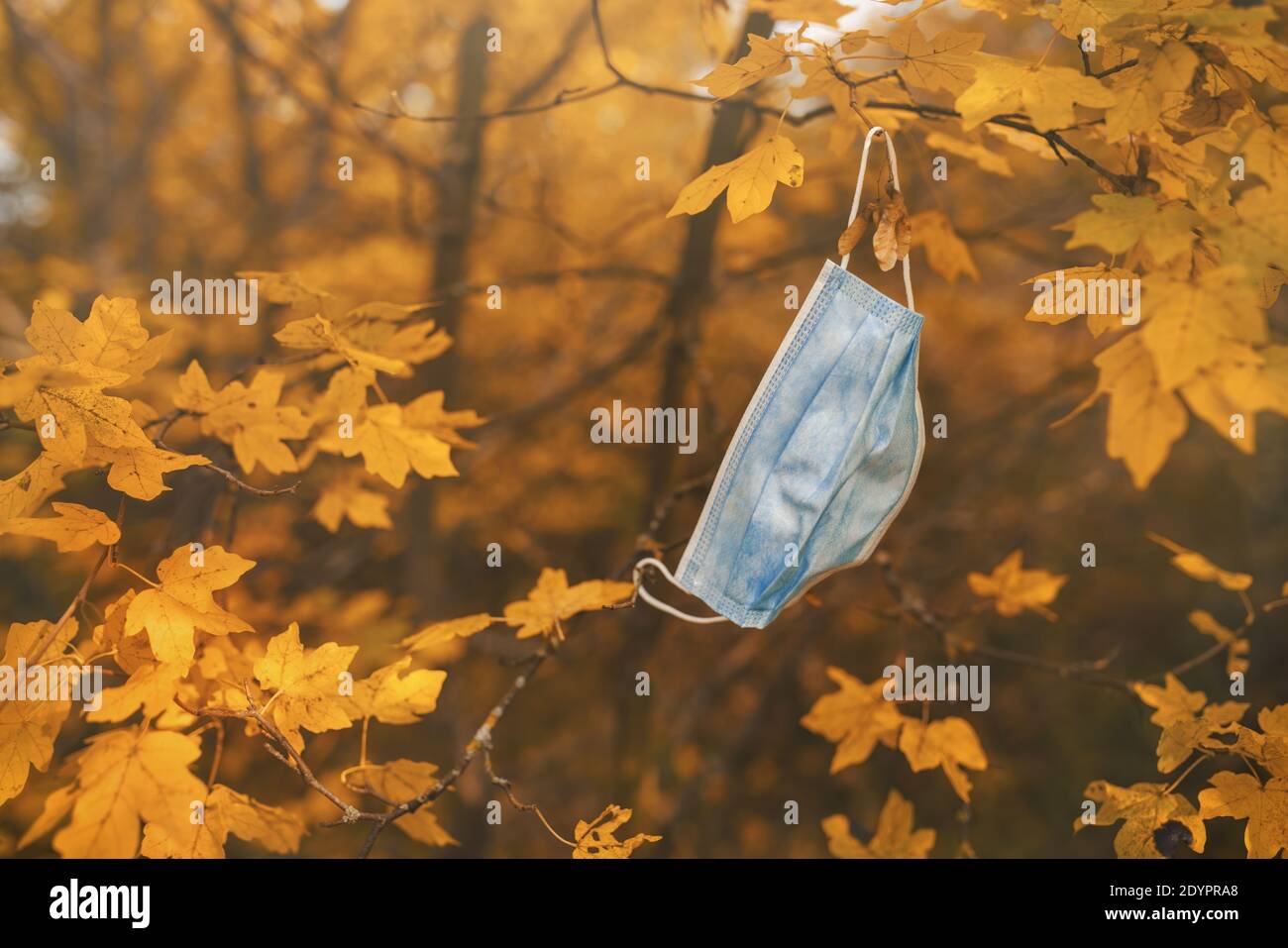 Una maschera usata appesa in rami di alberi di colore autunnale in un parco cittadino. Gli spazi pubblici sono sommersi da dispositivi di protezione scartati. Foto Stock