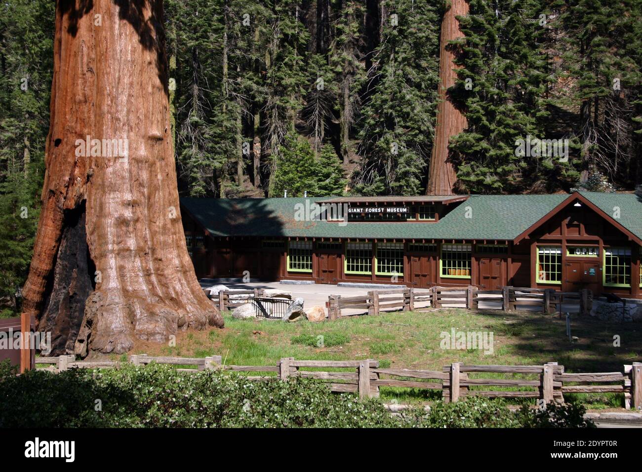 Sequoia National Park Museum – Giant Forest Museum, California, USA Foto Stock