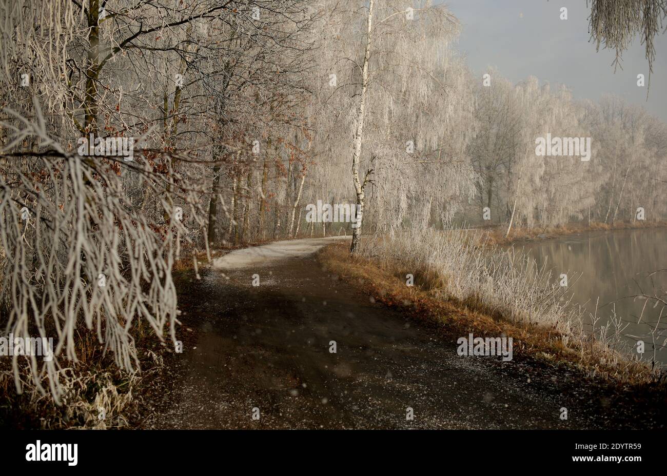 Una bella mattina invernale sui laghi all'alba Foto Stock