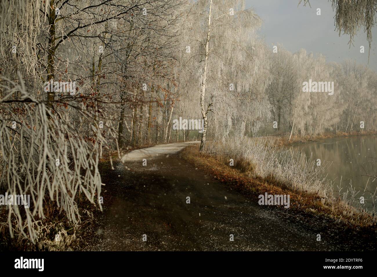 Una bella mattina invernale sui laghi all'alba Foto Stock