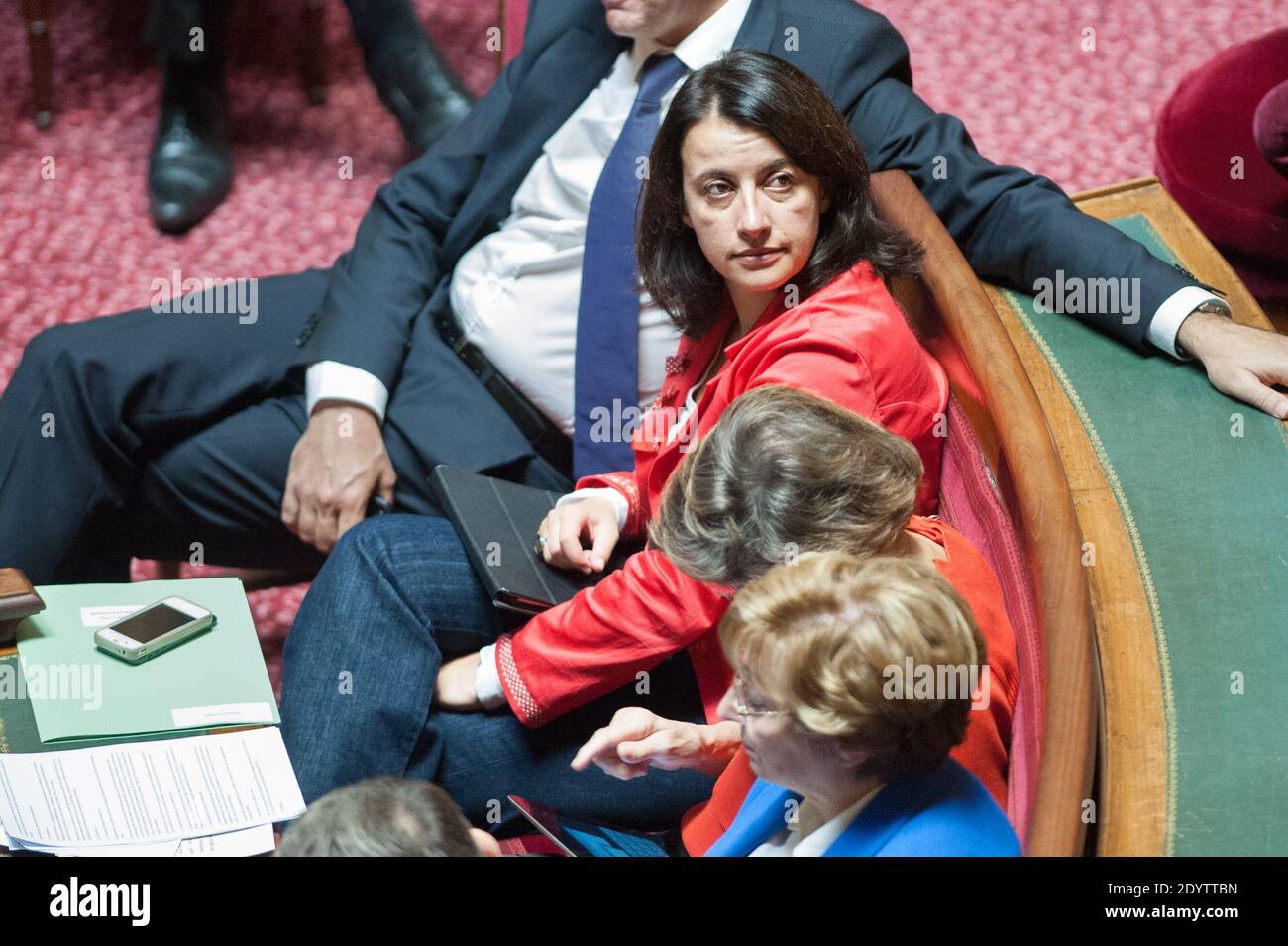 Il Ministro dell'uguaglianza territoriale e degli alloggi Cecile Duflot ha ritratto durante il tempo delle interrogazioni al Senato, il 19 settembre 2013, a Parigi, Francia. Foto di Romain boe/ABACAPRESS.COM Foto Stock