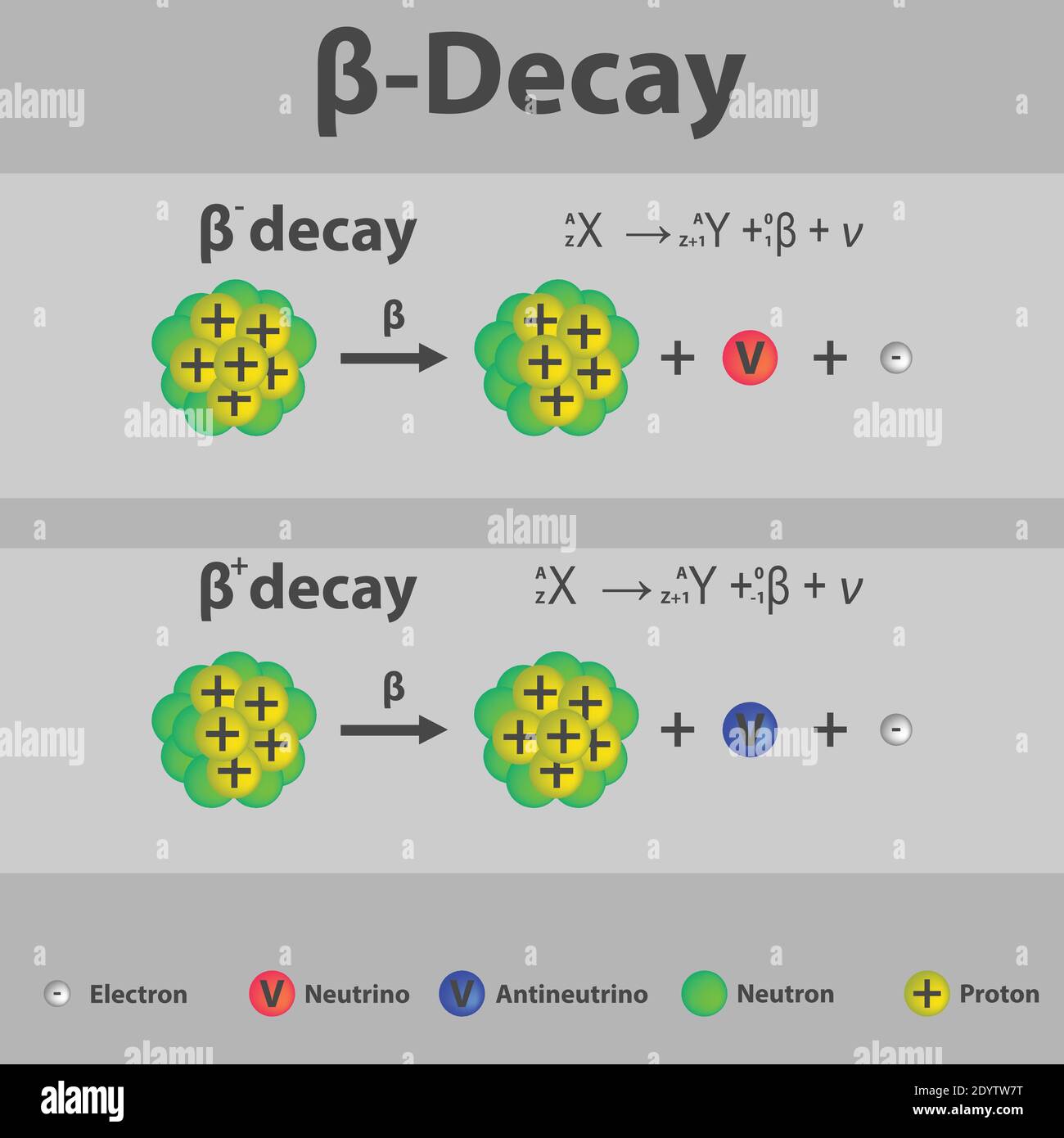 Infografica beta Plus e beta meno decadimento con equazione. Formazione di un nuovo elemento mediante una variazione del numero di protoni nel nucleo. Illustrazione Vettoriale