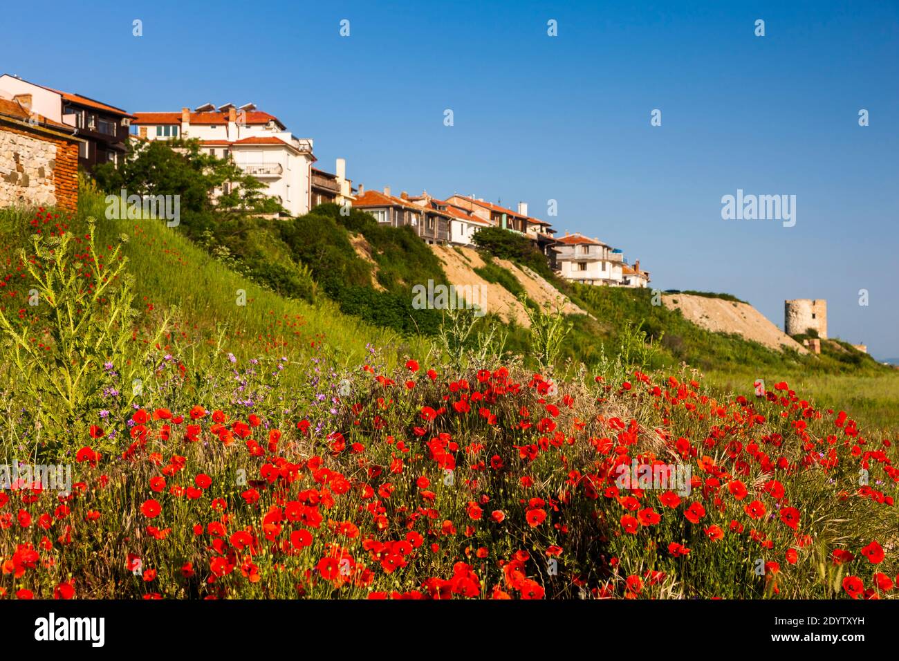 Vista mattutina sul mare, antica città di Nessebar, Nesebar, Nessebar, provincia di Burgas, Bulgaria, Europa sudorientale, Europa Foto Stock