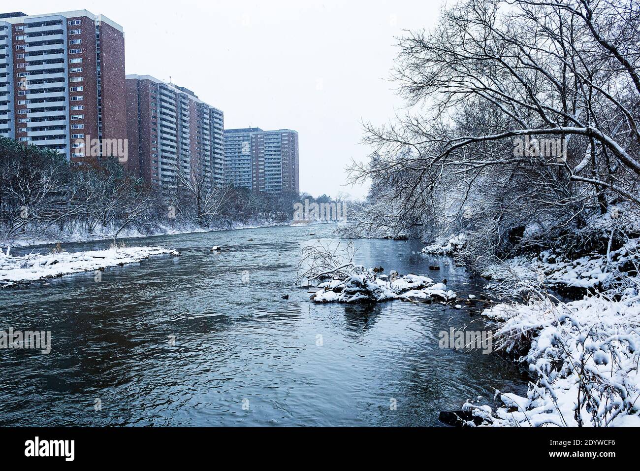 Vista sulla neve lungo il fiume Humber Foto Stock