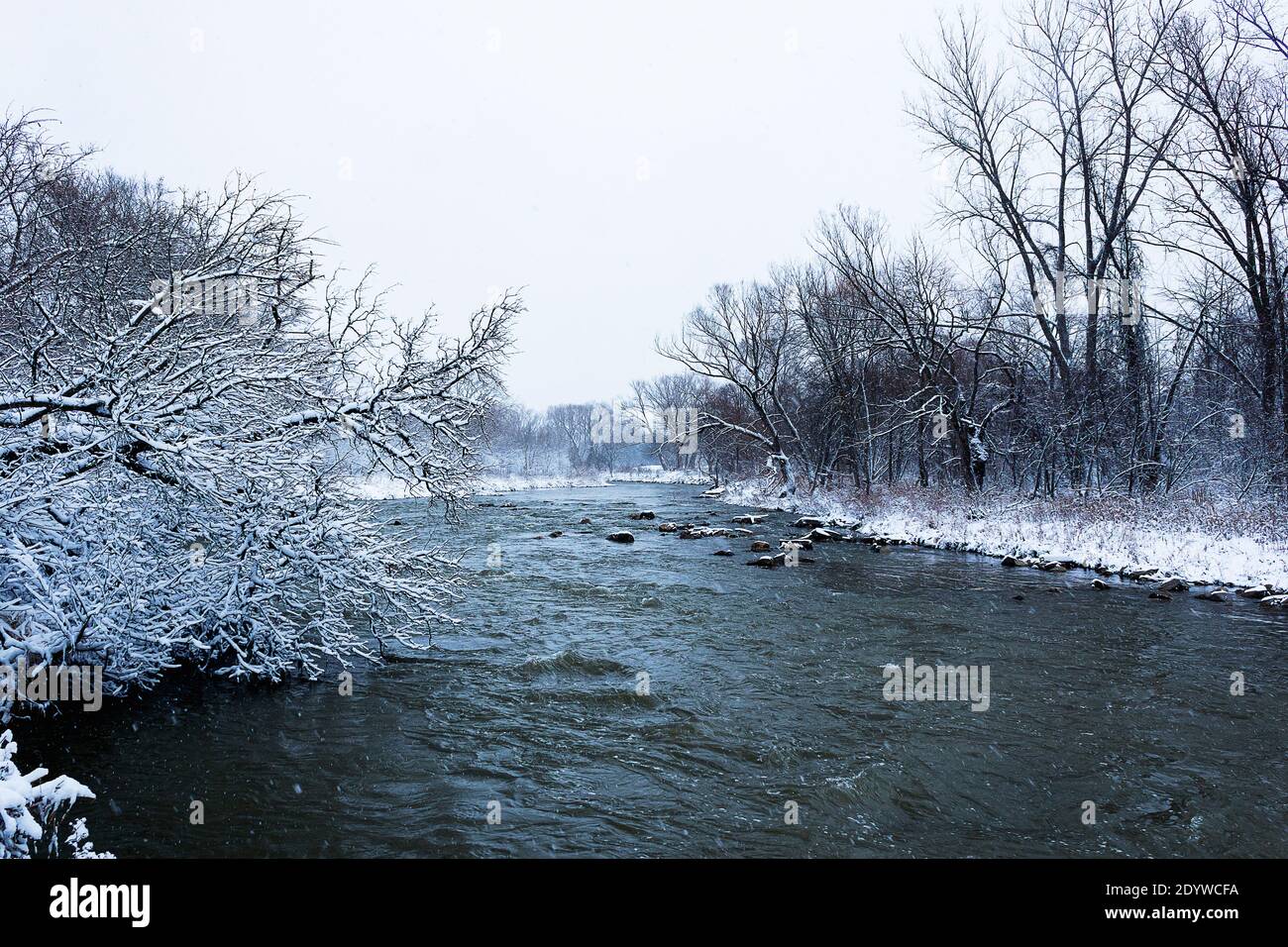 Vista sulla neve lungo il fiume Humber Foto Stock