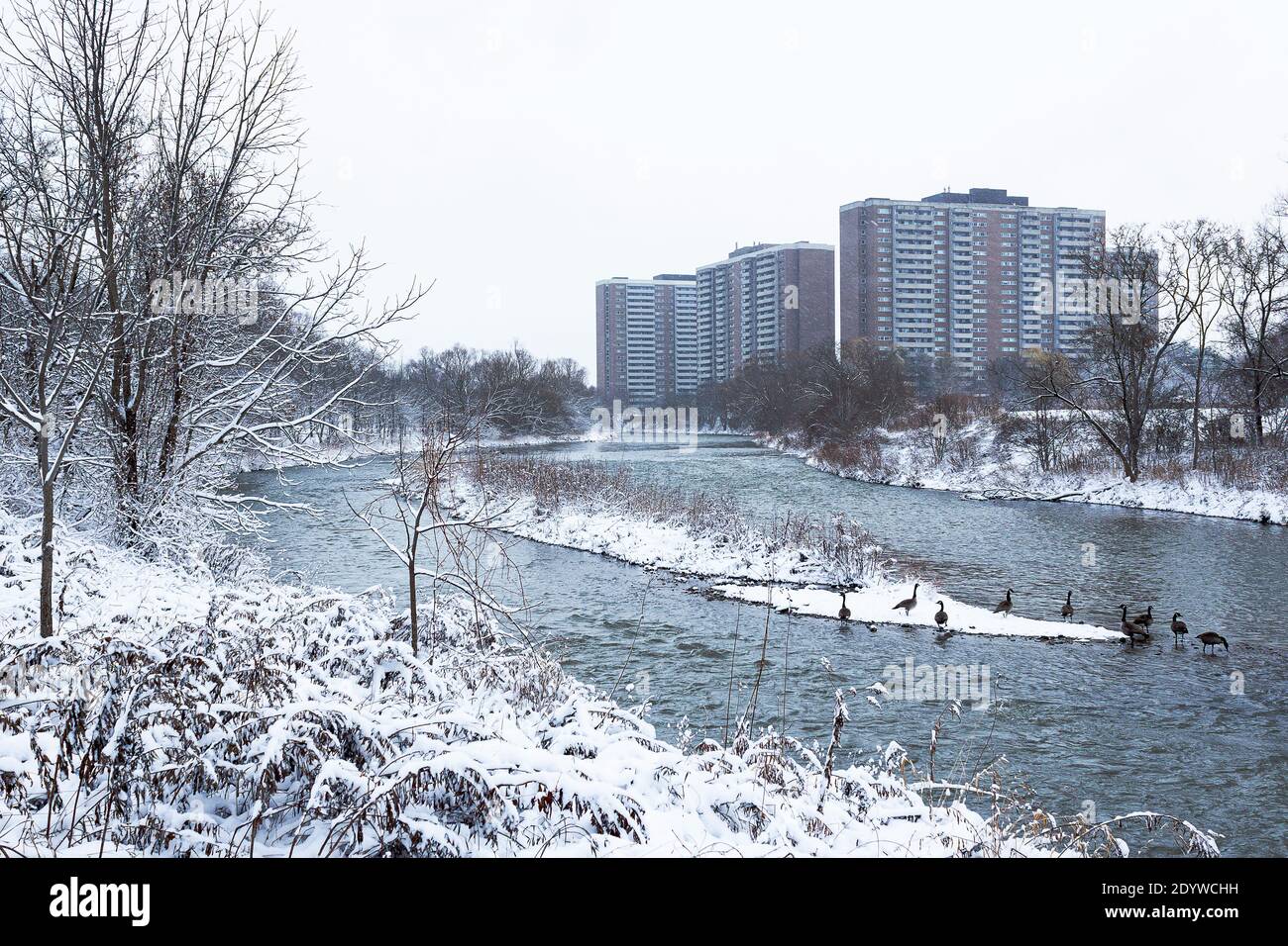 Vista sulla neve lungo il fiume Humber Foto Stock