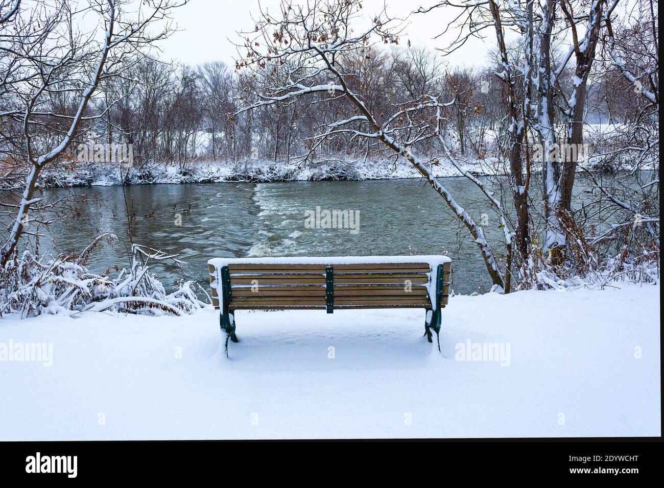 Giornata della neve, vista di una panca vuota coperta di neve Foto Stock