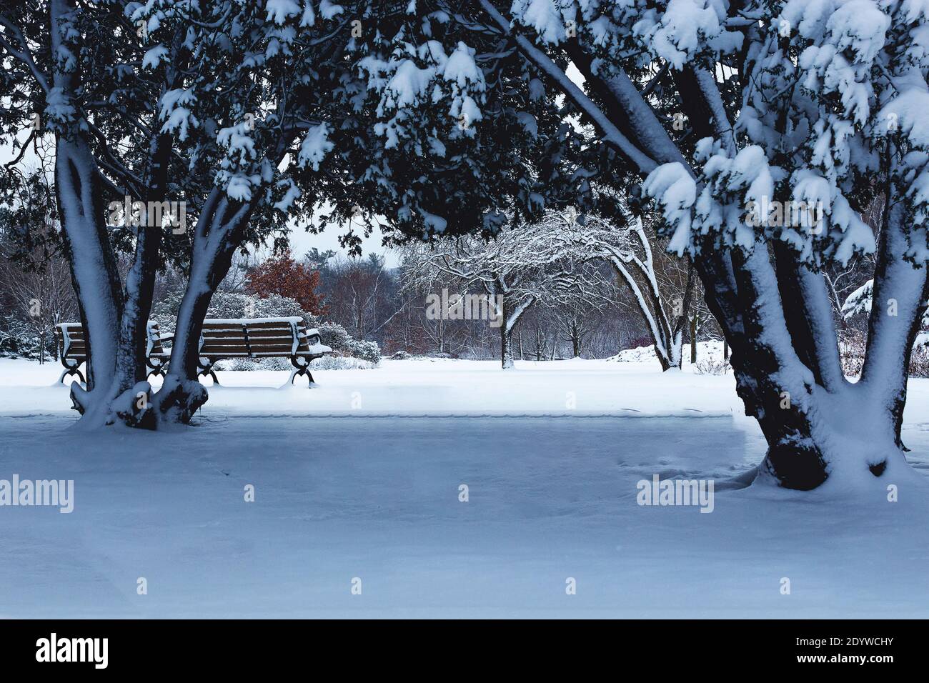 Neve giorno vista bassa di una panchina nel parco Foto Stock
