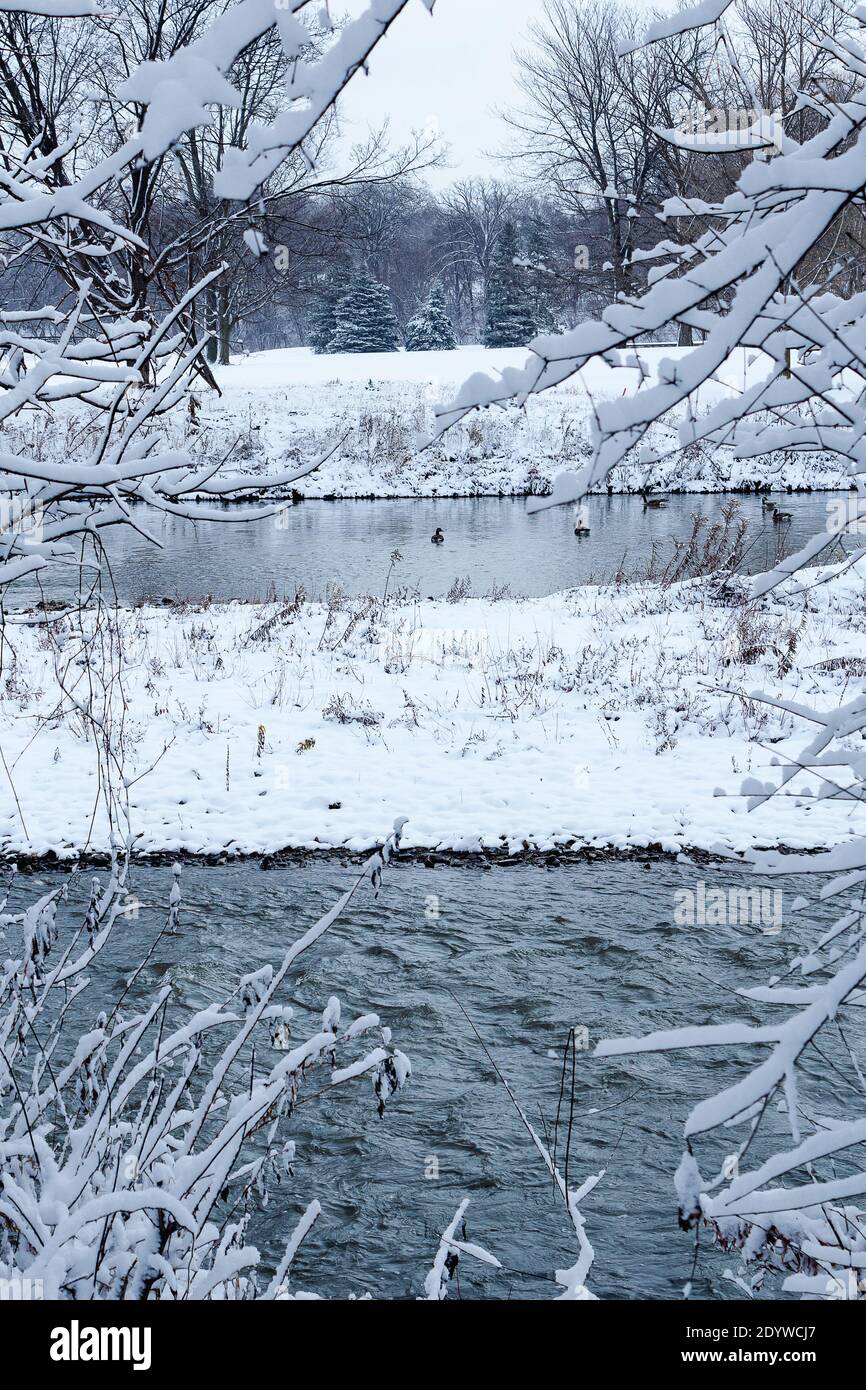 Vista sulla neve lungo il fiume Humber Foto Stock