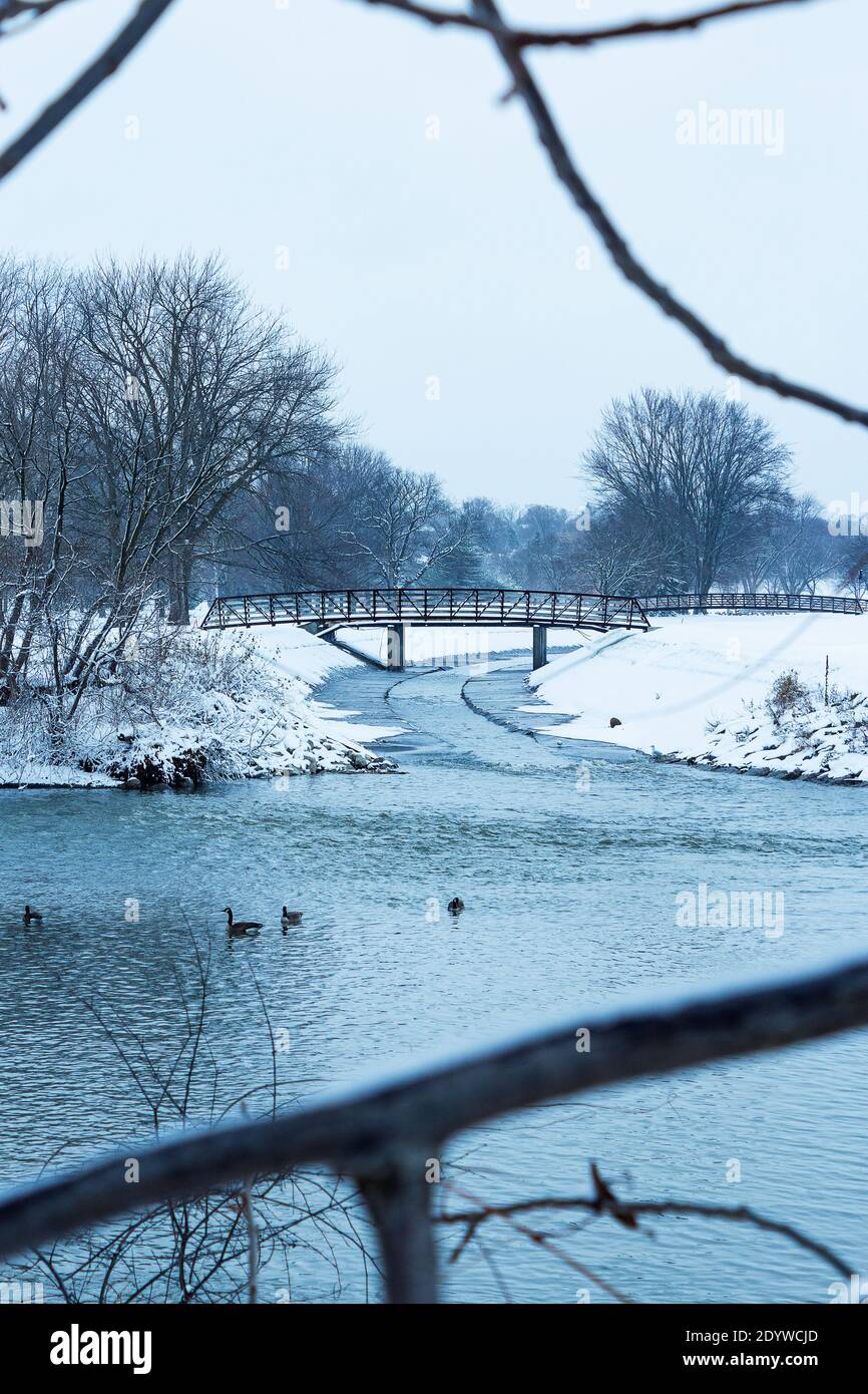 Vista sulla neve lungo il fiume Humber Foto Stock