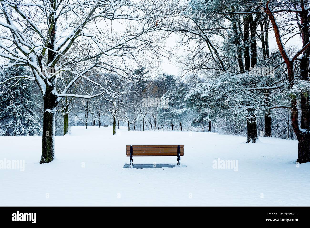 Giornata della neve, vista di una panca vuota coperta di neve Foto Stock