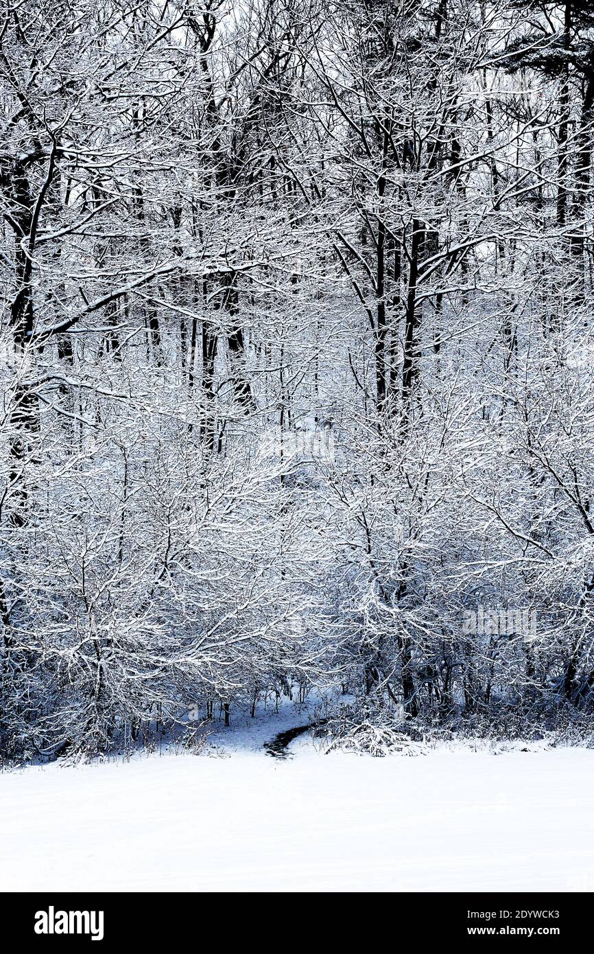 Giornata della neve, in piedi su un ponte sull'acqua Foto Stock