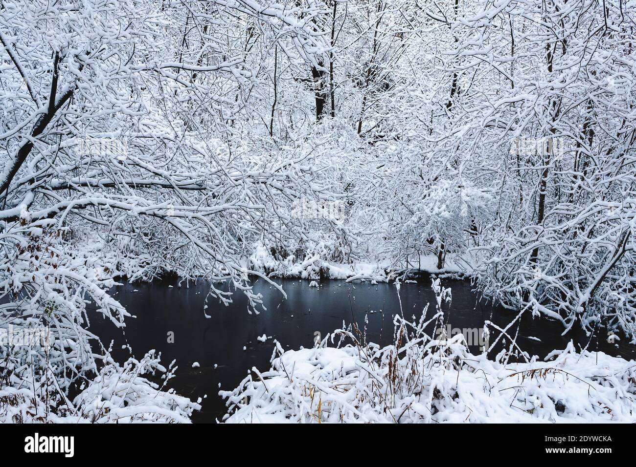 Vista sulla neve di un laghetto ghiacciato Foto Stock