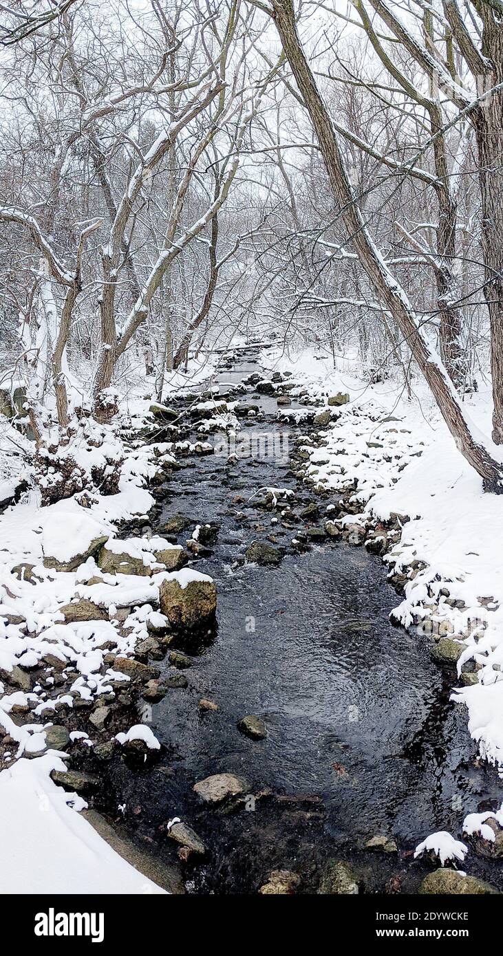 Vista sulla neve lungo un ruscello Foto Stock
