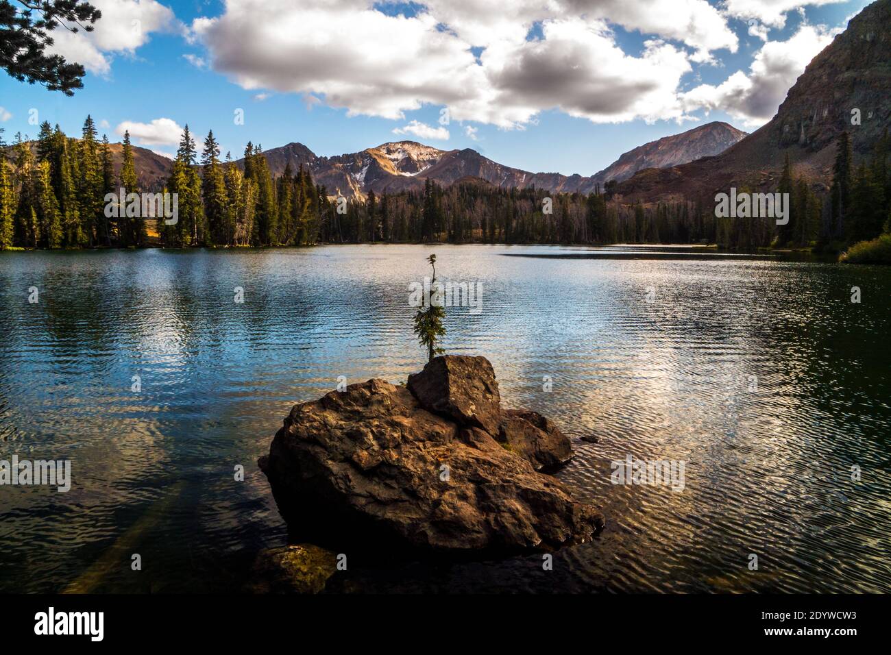 Pomeriggio autunnale al lago Iron Bog nelle Pioneer Mountains dell'Idaho Foto Stock