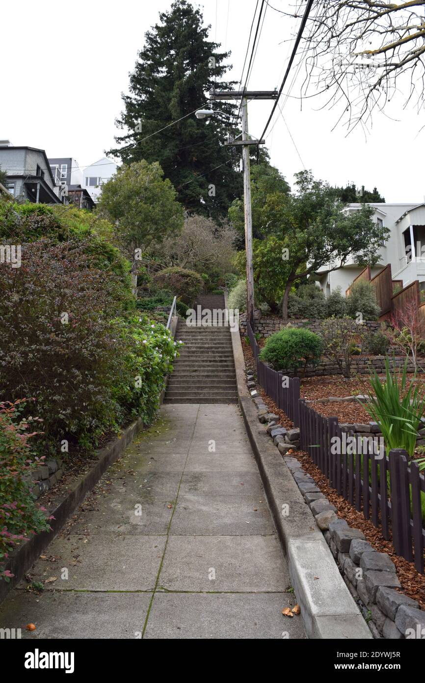 Scale pubbliche che salgono attraverso Vulcan Street, San Frnacisco. Foto Stock