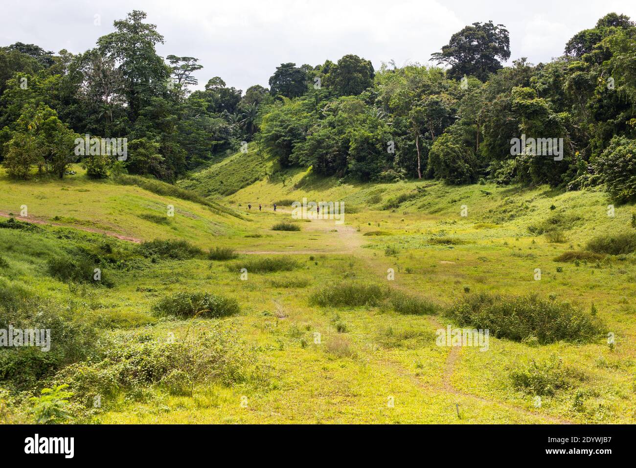 Alcune persone si avventurarono nella valle boscosa per esplorare. Singapore. Foto Stock