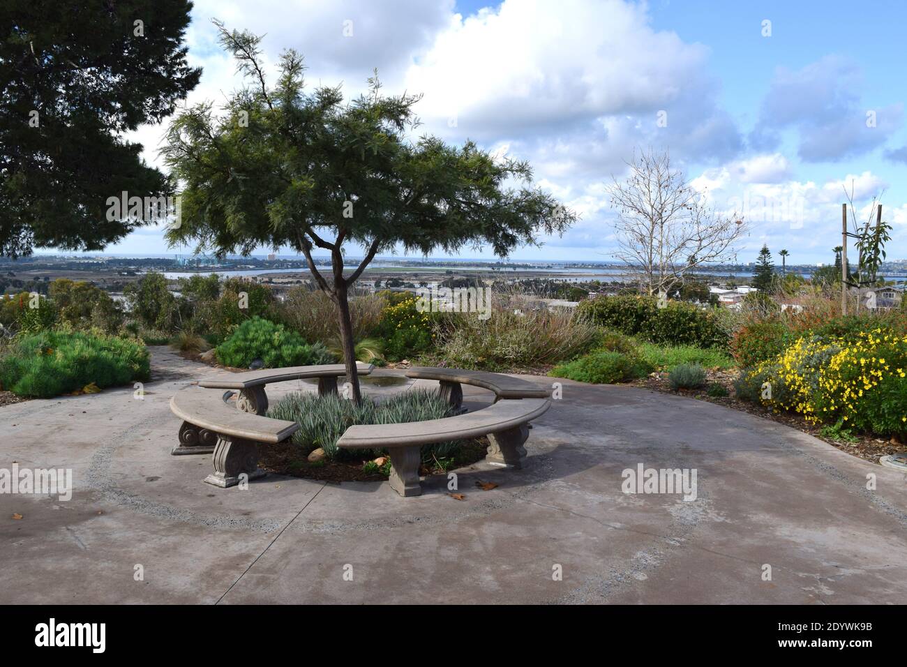Panca di parco in un giardino dell'Università di San Diego. Foto Stock