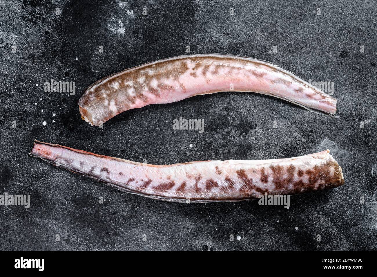 Greggi di klip di re, pesce di congrio. Sfondo nero. Vista dall'alto Foto Stock