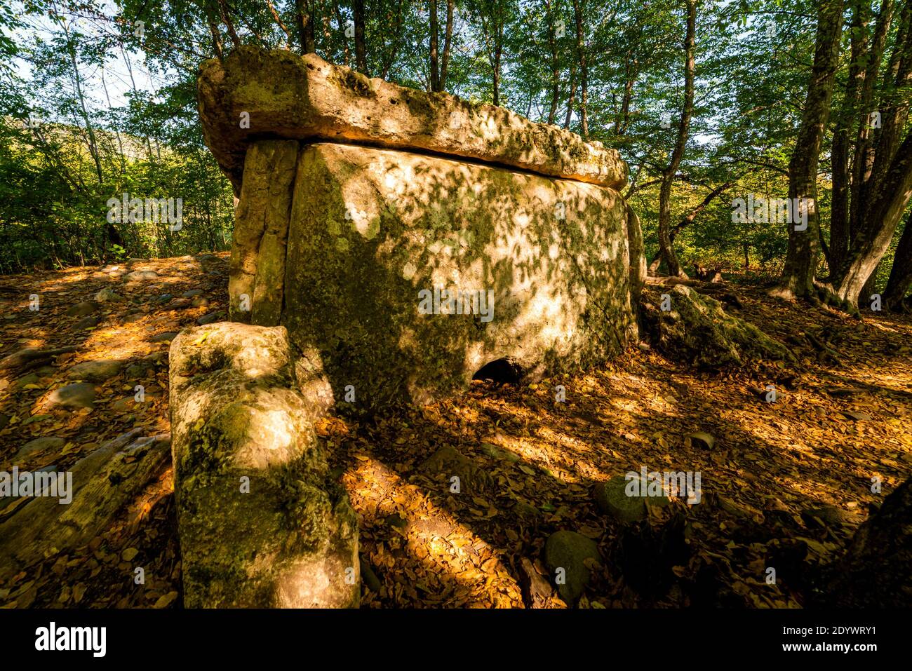 Antica tomba megalitica dolmen nella foresta. Foto Stock
