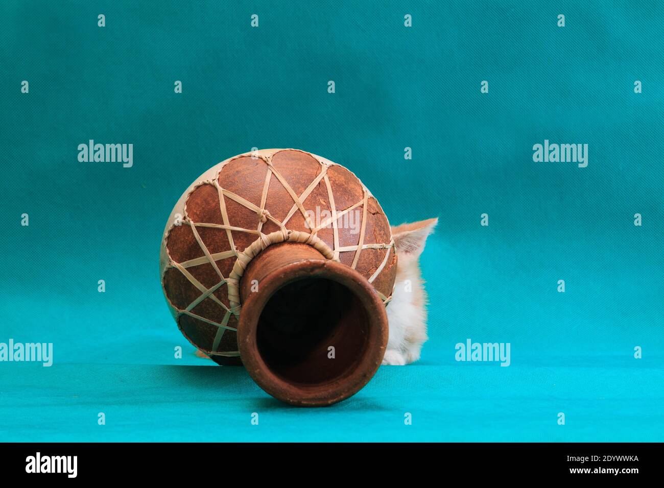 Il gattino rosso a righe impaurite decide di nascondersi dietro il tamburo di darbuka su sfondo turchese ciano in studio al chiuso Foto Stock