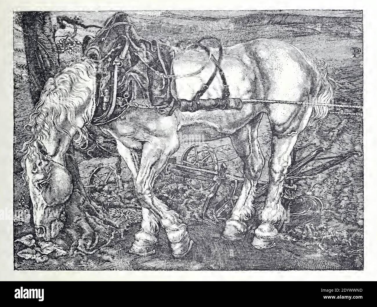 La stampa antica d'epoca chiamata il Cavallo Bianco dall'artista olandese Pieter Dupont. Foto Stock