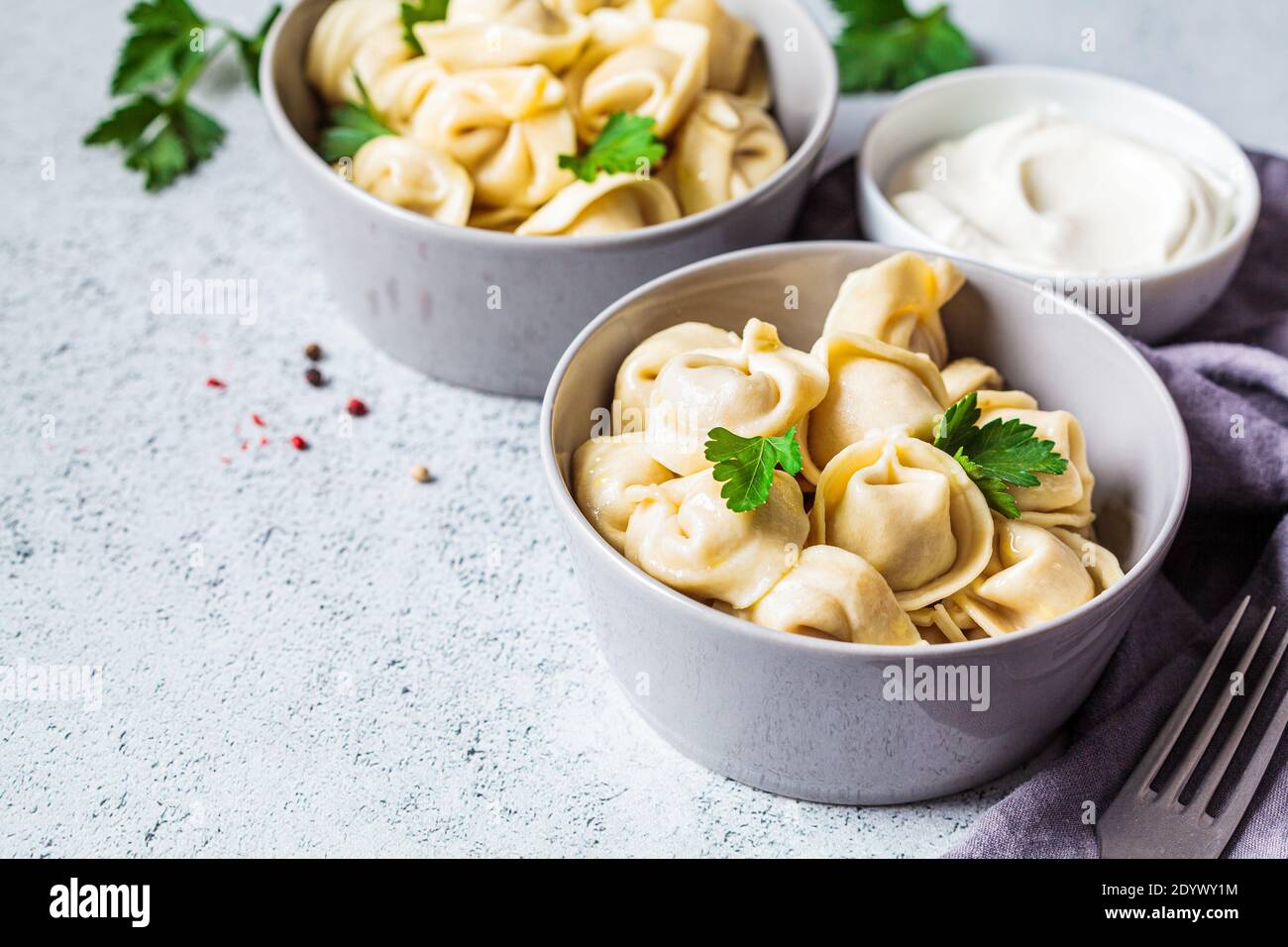 Gnocchi di carne tradizionali russi con panna acida e prezzemolo. Concetto di cucina russa. Foto Stock