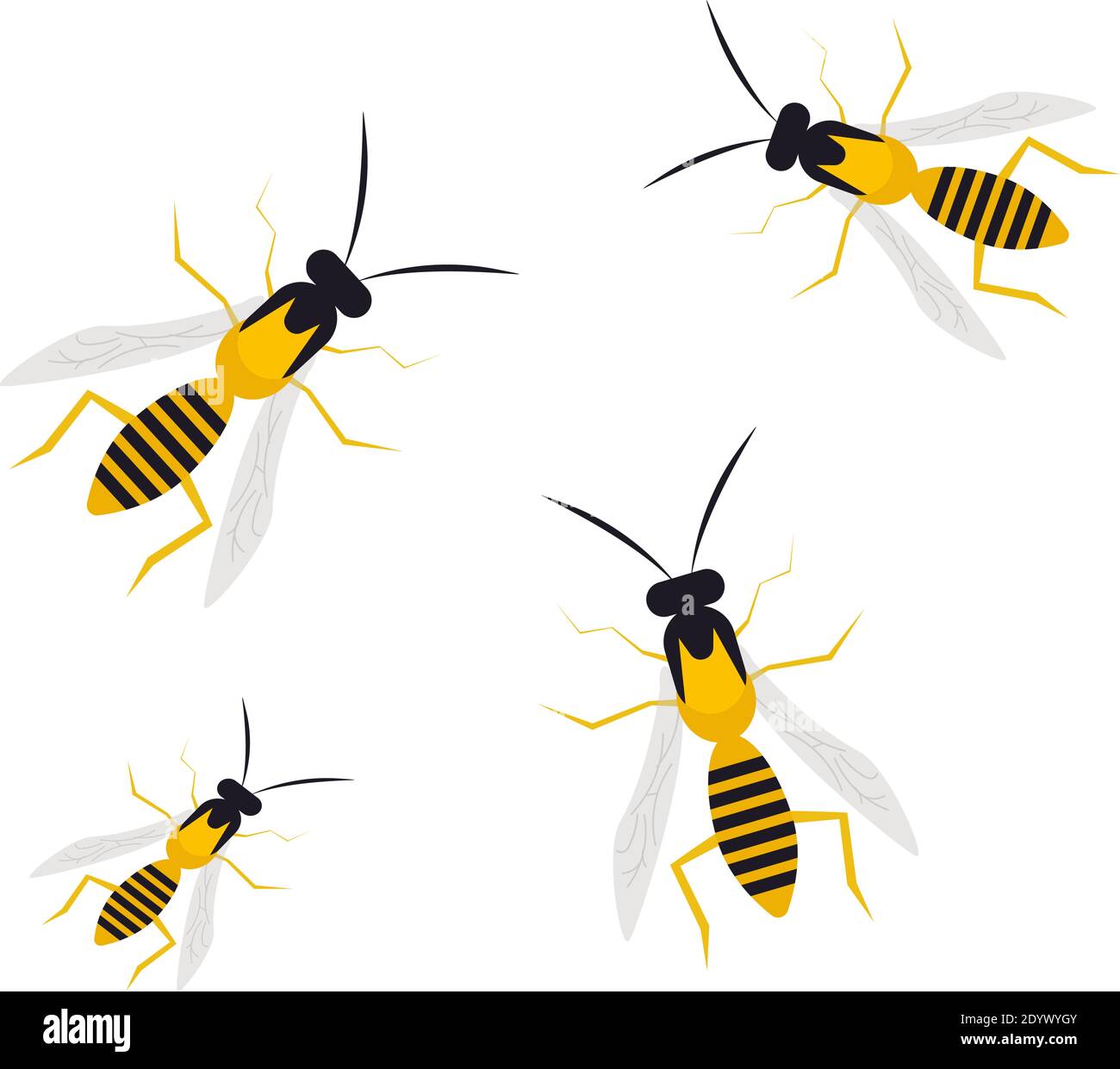 Vespa grande, illustrazione, vettore su sfondo bianco. Illustrazione Vettoriale