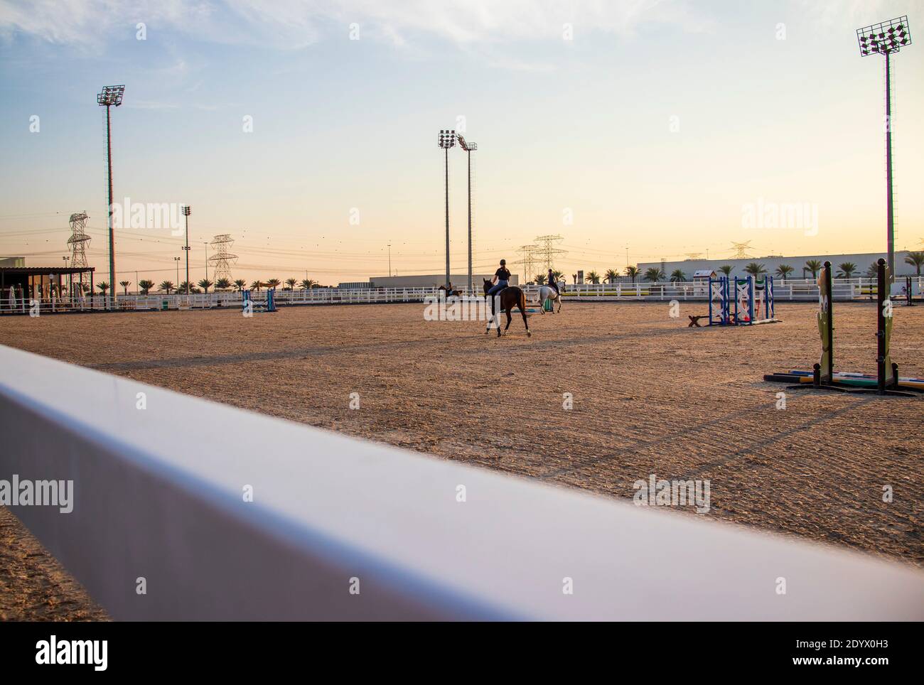 Cavalli al polo e club equestre. Foto Stock