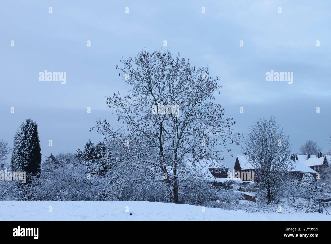 Alberi ricoperti di neve e tetti del villaggio con cielo blu con spazio di copia Foto Stock